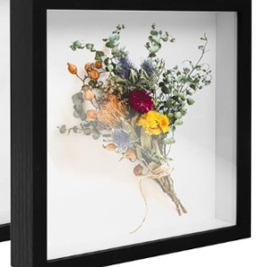 Z - 12" x 12" Shadow Box (Plexi Glass)
