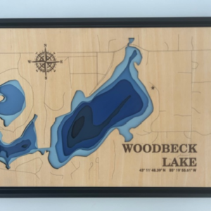Custom 3D Lake Map
